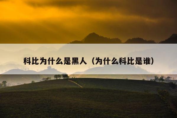 科比为什么是黑人（为什么科比是谁） 第1张
