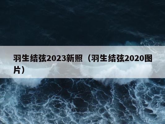 羽生结弦2023新照（羽生结弦2020图片） 第1张