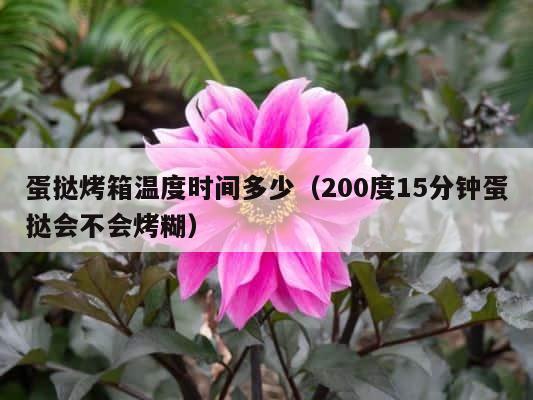 蛋挞烤箱温度时间多少（200度15分钟蛋挞会不会烤糊） 第1张
