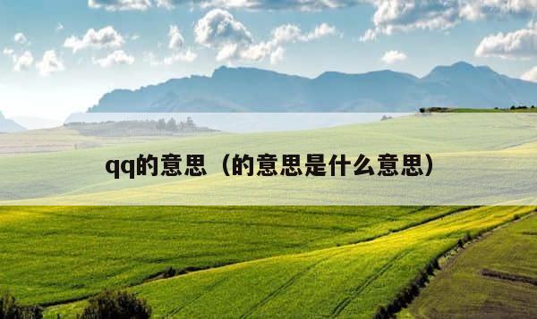 qq的意思（的意思是什么意思） 第1张