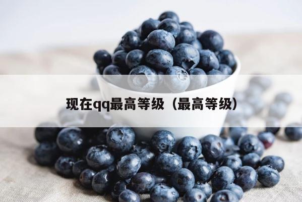 现在qq最高等级（最高等级） 第1张