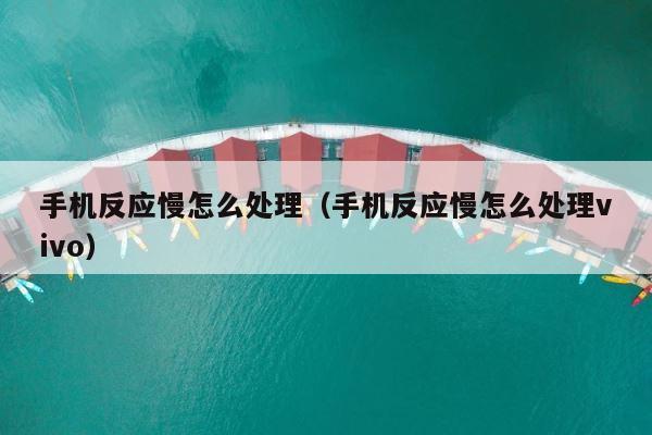 手机反应慢怎么处理（手机反应慢怎么处理vivo） 第1张