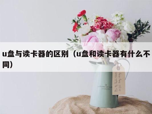u盘与读卡器的区别（u盘和读卡器有什么不同） 第1张