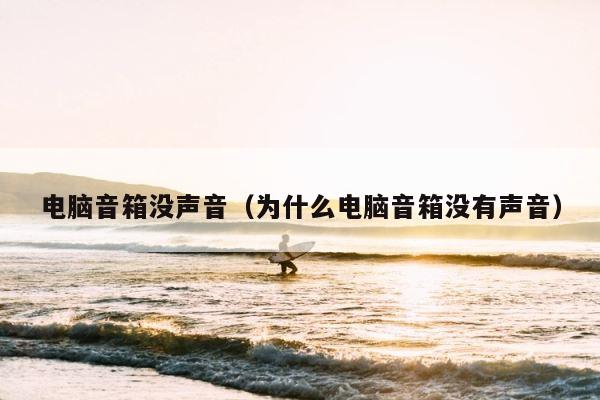 电脑音箱没声音（为什么电脑音箱没有声音） 第1张
