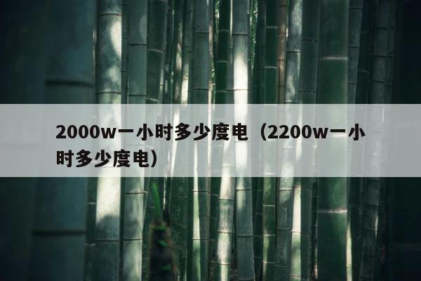 2000w一小时多少度电（2200w一小时多少度电） 第1张