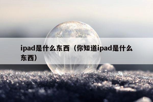 ipad是什么东西（你知道ipad是什么东西） 第1张