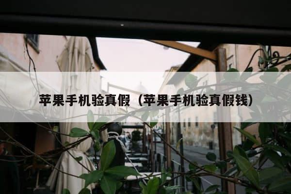 苹果手机验真假（苹果手机验真假钱） 第1张