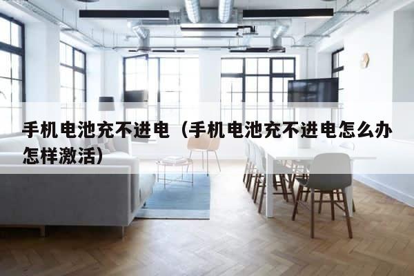 手机电池充不进电（手机电池充不进电怎么办怎样激活） 第1张