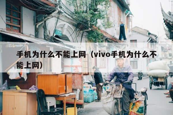 手机为什么不能上网（vivo手机为什么不能上网） 第1张