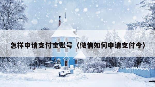 怎样申请支付宝账号（微信如何申请支付令） 第1张