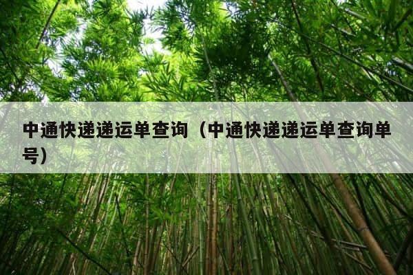 中通快递递运单查询（中通快递递运单查询单号） 第1张