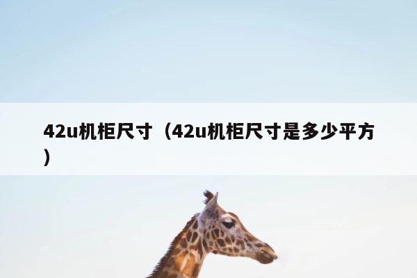 42u机柜尺寸（42u机柜尺寸是多少平方） 第1张