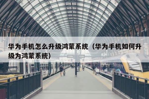 华为手机怎么升级鸿蒙系统（华为手机如何升级为鸿蒙系统） 第1张
