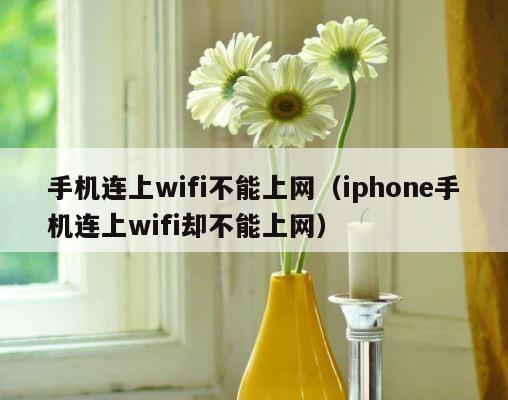 手机连上wifi不能上网（iphone手机连上wifi却不能上网） 第1张