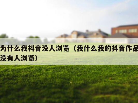 为什么我抖音没人浏览（我什么我的抖音作品没有人浏览） 第1张