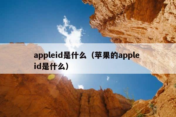 appleid是什么（苹果的apple id是什么） 第1张