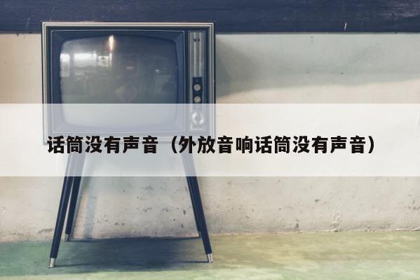话筒没有声音（外放音响话筒没有声音） 第1张