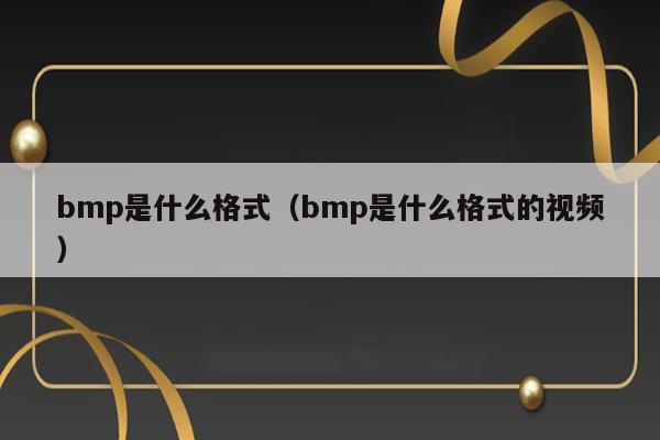 bmp是什么格式（bmp是什么格式的视频） 第1张