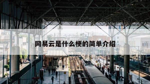 网易云是什么梗的简单介绍 第1张