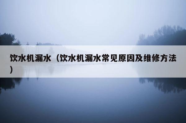 饮水机漏水（饮水机漏水常见原因及维修方法） 第1张
