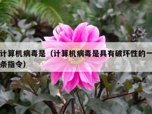计算机病毒是（计算机病毒是具有破坏性的一条指令） 第1张