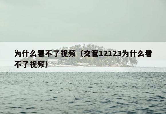 为什么看不了视频（交管12123为什么看不了视频） 第1张