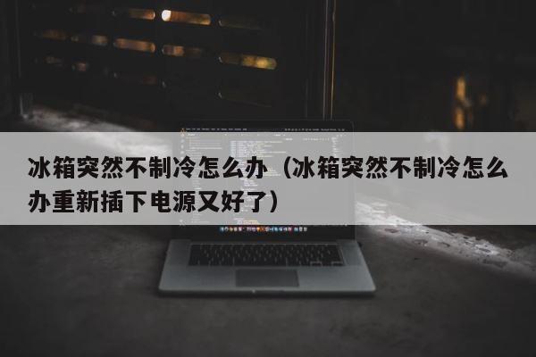 冰箱突然不制冷怎么办（冰箱突然不制冷怎么办重新插下电源又好了） 第1张