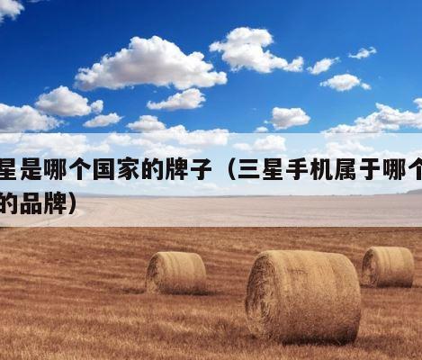 三星是哪个国家的牌子（三星手机属于哪个国家的品牌） 第1张