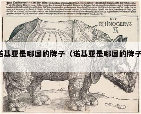 诺基亚是哪国的牌子（诺基亚是哪国的牌子?） 第1张