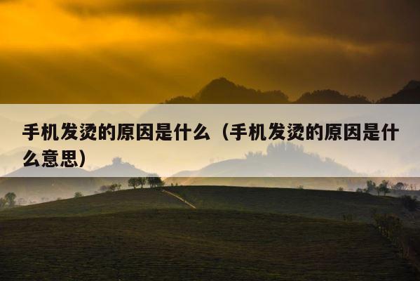 手机发烫的原因是什么（手机发烫的原因是什么意思） 第1张