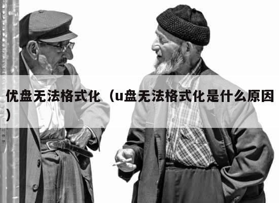 优盘无法格式化（u盘无法格式化是什么原因） 第1张