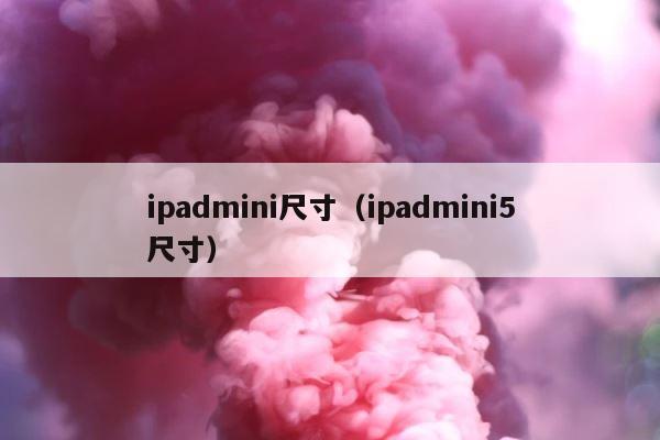 ipadmini尺寸（ipadmini5尺寸） 第1张