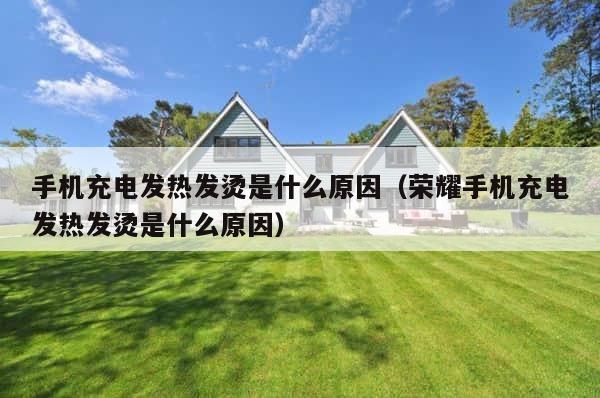 手机充电发热发烫是什么原因（荣耀手机充电发热发烫是什么原因） 第1张