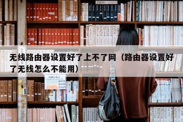 无线路由器设置好了上不了网（路由器设置好了无线怎么不能用） 第1张