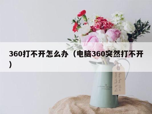 360打不开怎么办（电脑360突然打不开） 第1张