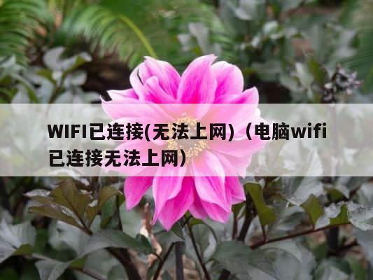 WIFI已连接(无法上网)（电脑wifi已连接无法上网） 第1张