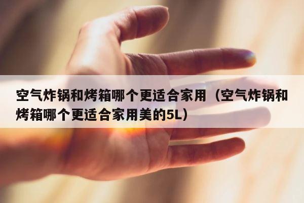 空气炸锅和烤箱哪个更适合家用（空气炸锅和烤箱哪个更适合家用美的5L） 第1张