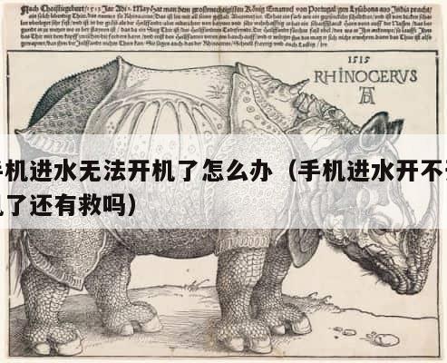 手机进水无法开机了怎么办（手机进水开不开机了还有救吗） 第1张