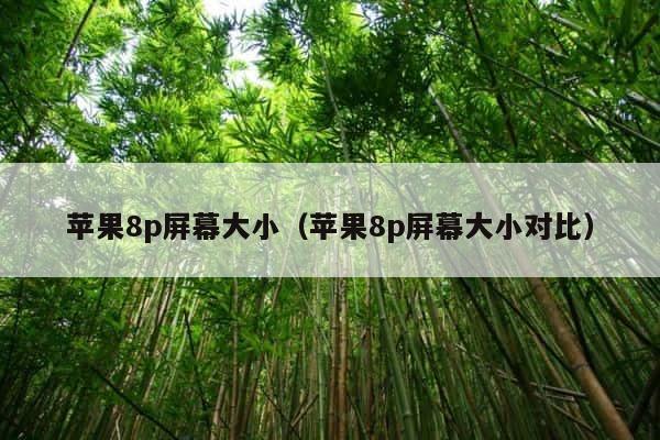 苹果8p屏幕大小（苹果8p屏幕大小对比） 第1张