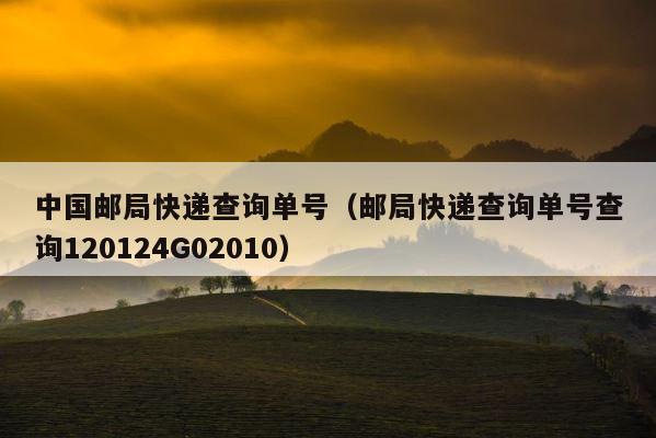 中国邮局快递查询单号（邮局快递查询单号查询120124G02010） 第1张