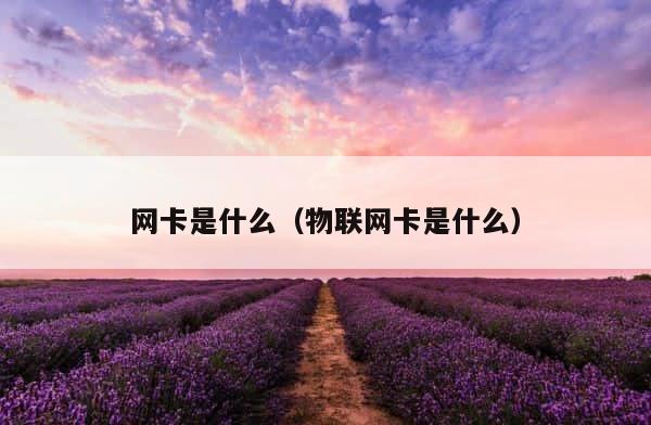 网卡是什么（物联网卡是什么） 第1张