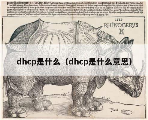 dhcp是什么（dhcp是什么意思） 第1张