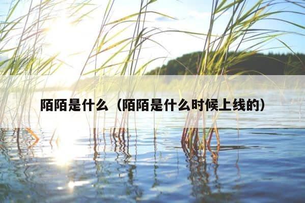 陌陌是什么（陌陌是什么时候上线的） 第1张