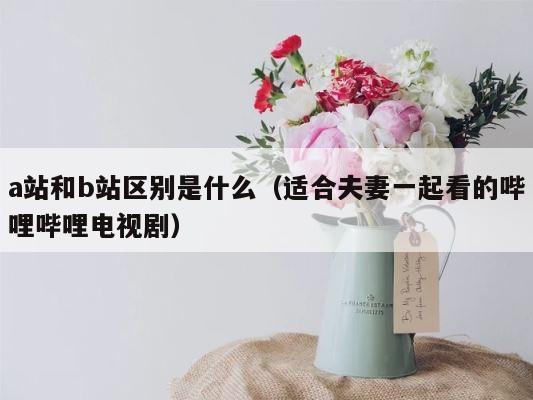 a站和b站区别是什么（适合夫妻一起看的哔哩哔哩电视剧） 第1张
