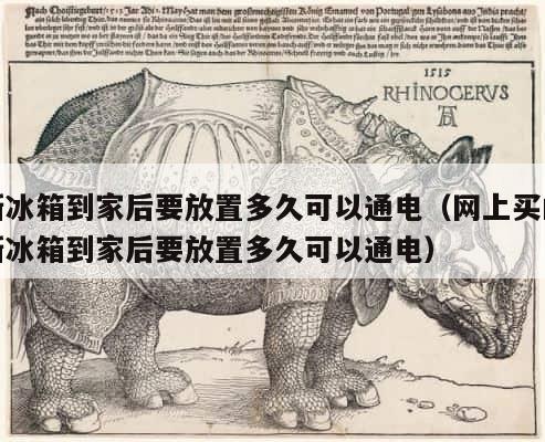 新冰箱到家后要放置多久可以通电（网上买的新冰箱到家后要放置多久可以通电） 第1张