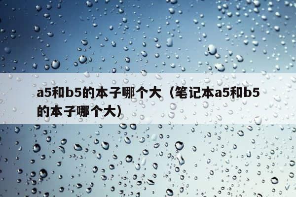 a5和b5的本子哪个大（笔记本a5和b5的本子哪个大） 第1张