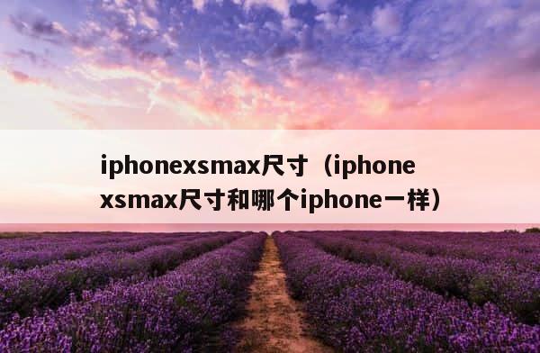 iphonexsmax尺寸（iphonexsmax尺寸和哪个iphone一样） 第1张
