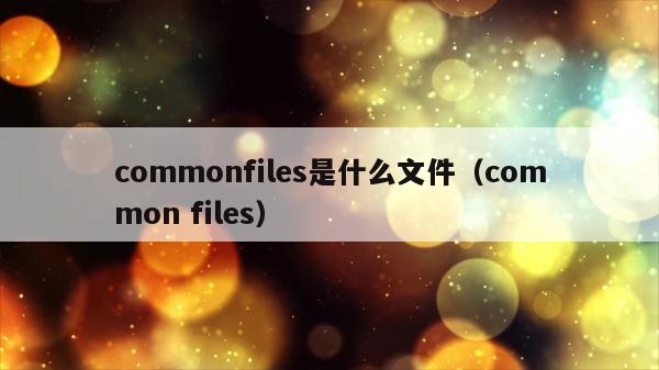 commonfiles是什么文件（common files） 第1张