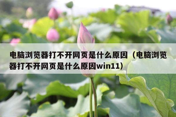 电脑浏览器打不开网页是什么原因（电脑浏览器打不开网页是什么原因win11） 第1张