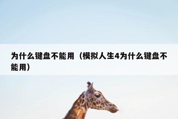 为什么键盘不能用（模拟人生4为什么键盘不能用） 第1张